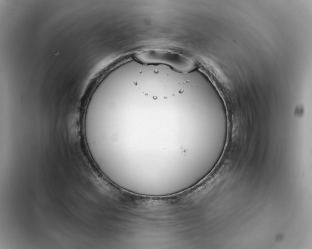 X0000102371164200808151828