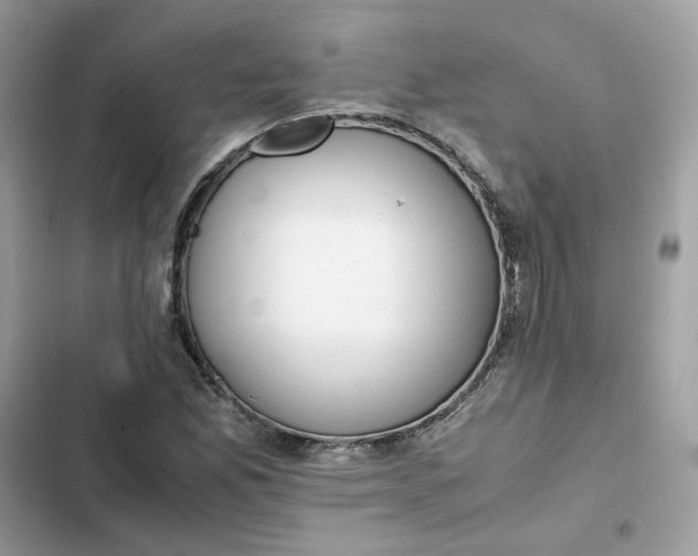 X0000102371165200808151828