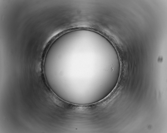 X0000102371166200808151828