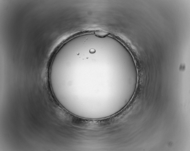 X0000102371167200808151828