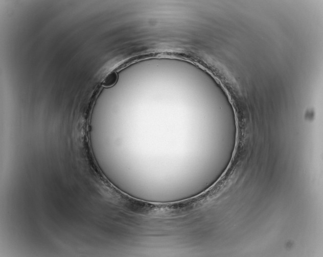 X0000102371169200808151828