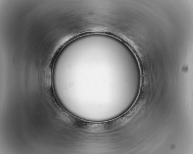 X0000102371171200808151828