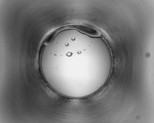 X0000102371172200808151828