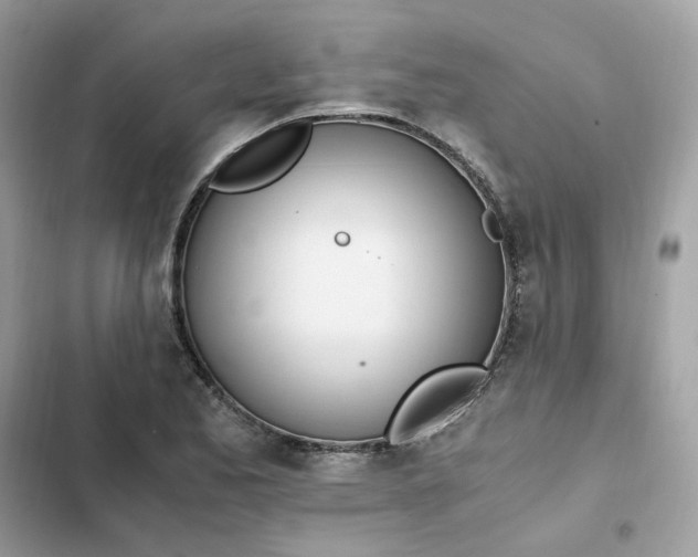 X0000102371173200808151828