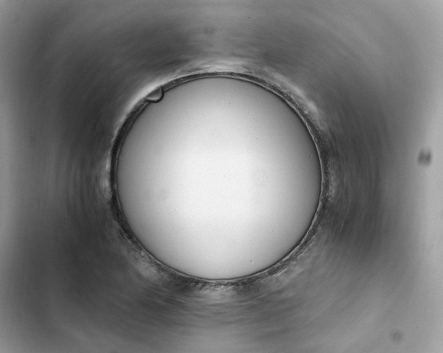 X0000102371174200808151828