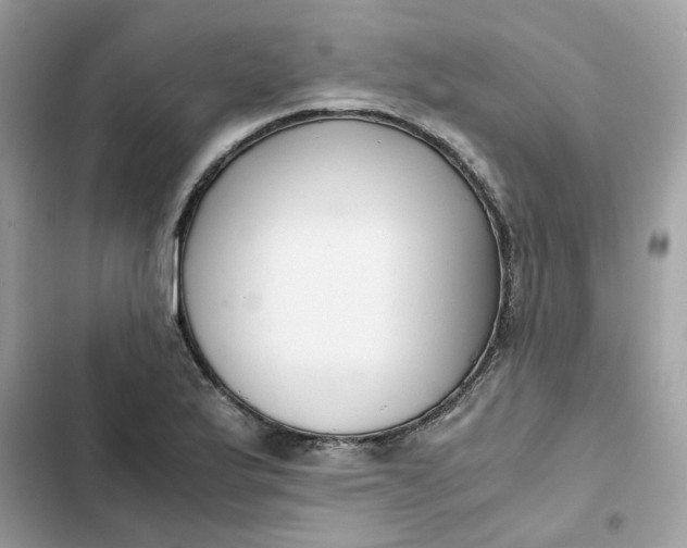 X0000102371175200808151828