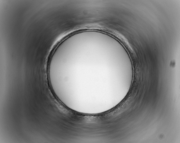 X0000102371176200808151828