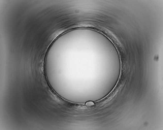 X0000102371177200808151828