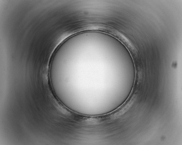 X0000102371178200808151828