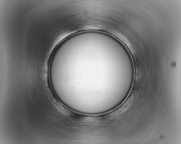 X0000102371179200808151828