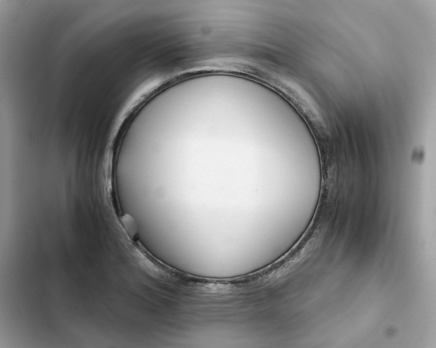 X0000102371180200808151828