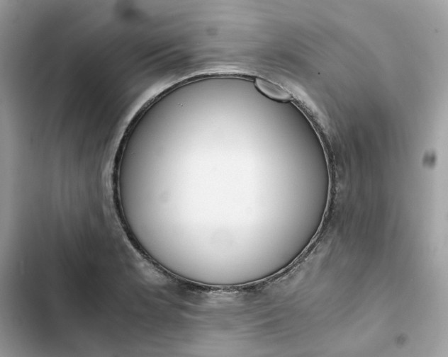 X0000102371181200808151828