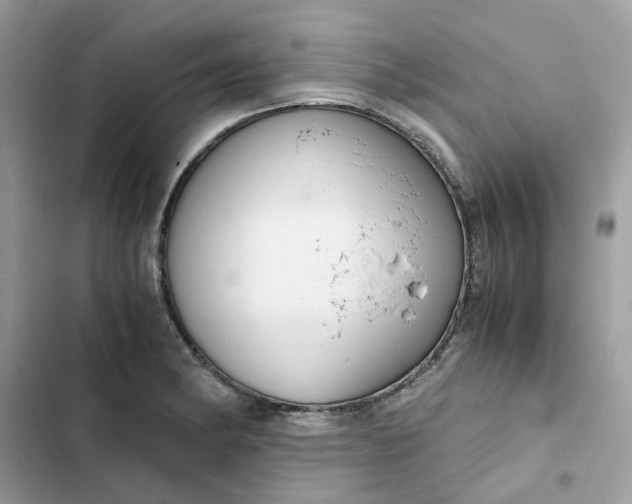 X0000102371182200808151828