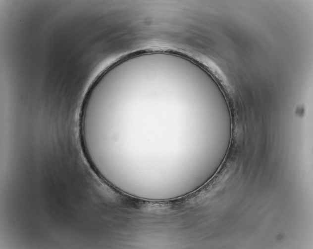 X0000102371183200808151828