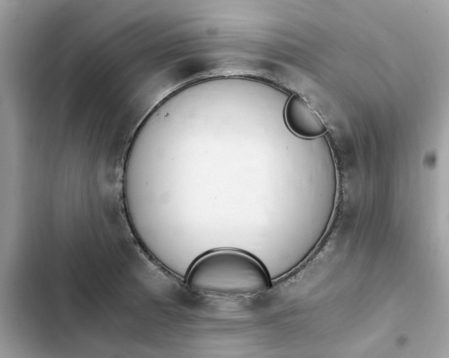 X0000102371185200808151828