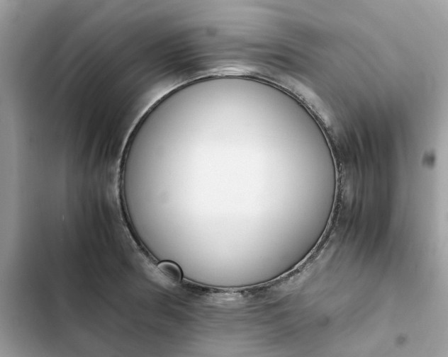 X0000102371186200808151828