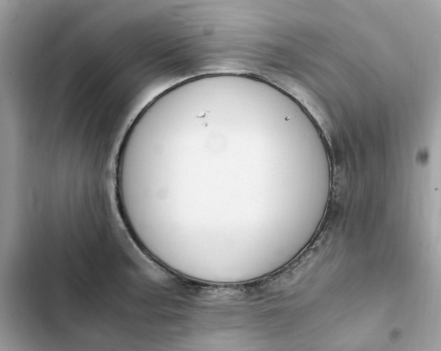 X0000102371187200808151828