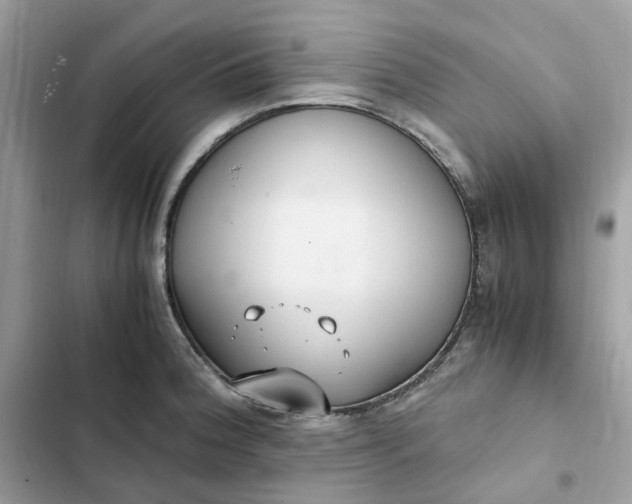 X0000102371188200808151828