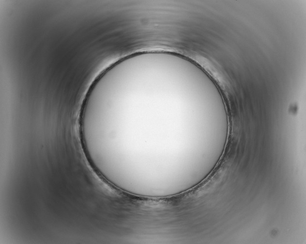 X0000102371189200808151828