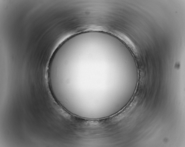 X0000102371190200808151828