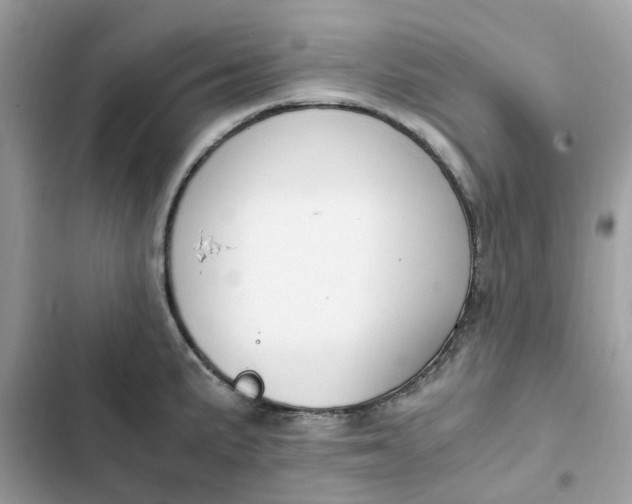 X0000102371191200808151828