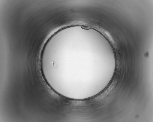 X0000102371192200808151828