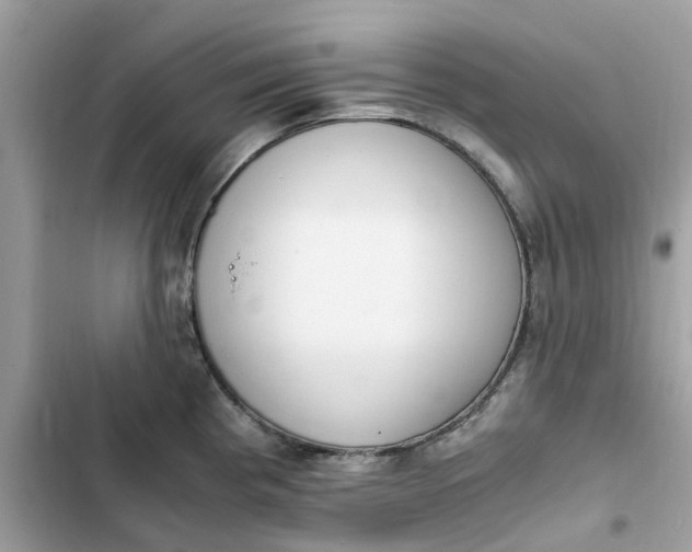 X0000102371193200808151828