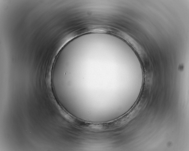 X0000102371194200808151828