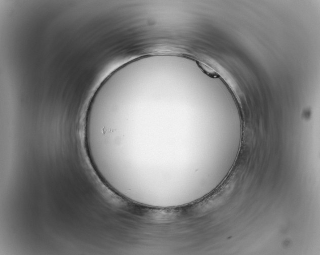 X0000102371195200808151828