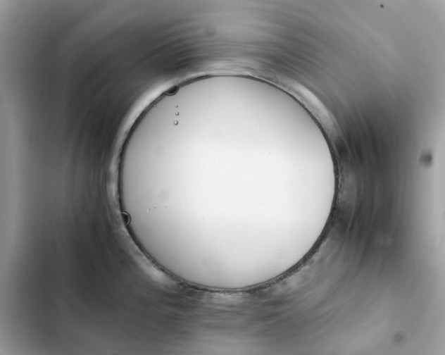 X0000102371196200808151828