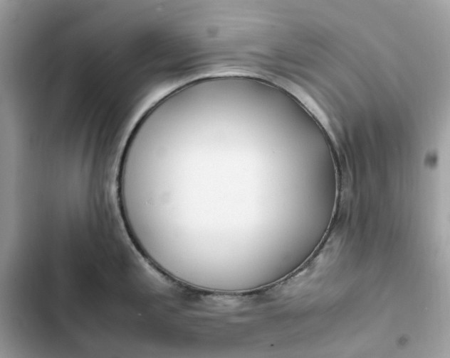 X0000102371197200808151828