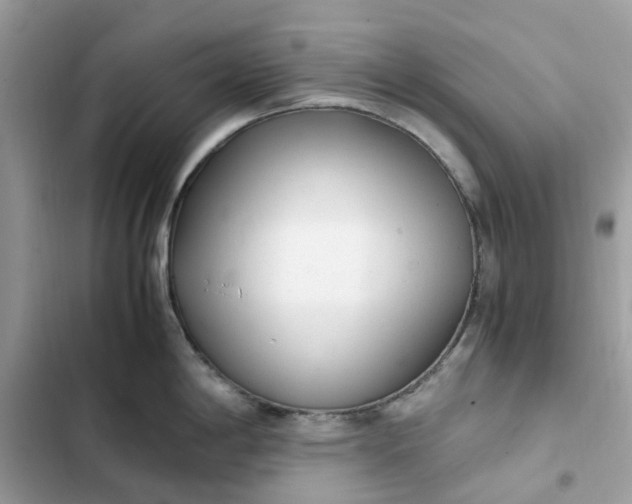 X0000102371198200808151828