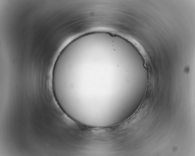 X0000102371199200808151828