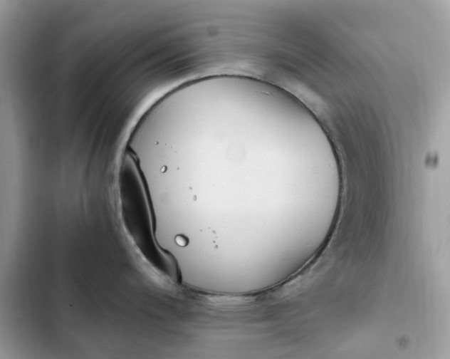 X0000102371200200808151828