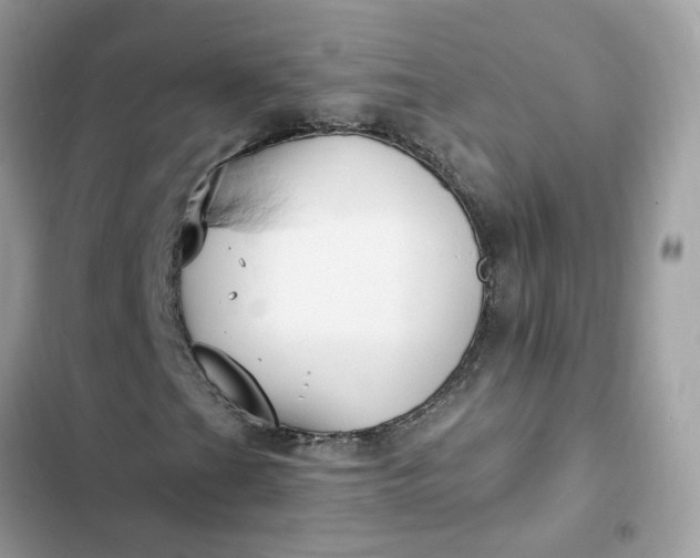 X0000102371201200808151827