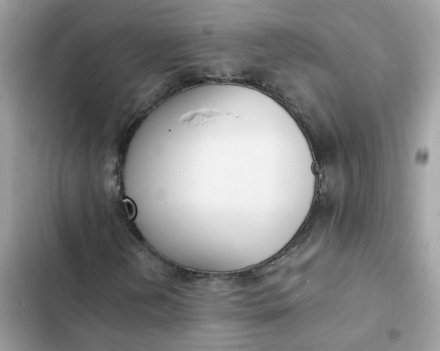 X0000102371202200808151827