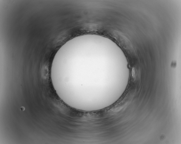 X0000102371203200808151827