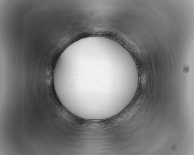 X0000102371204200808151827