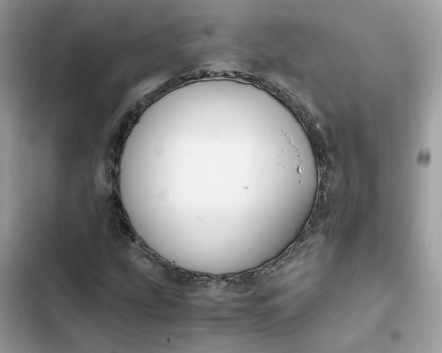 X0000102371207200808151827