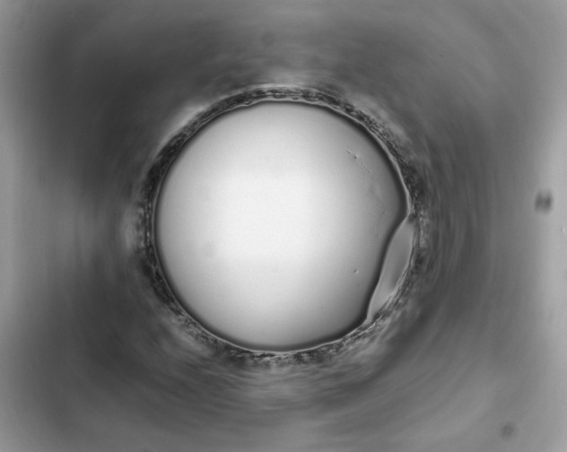 X0000102371208200808151827