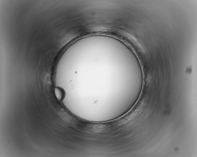 X0000102371209200808151827