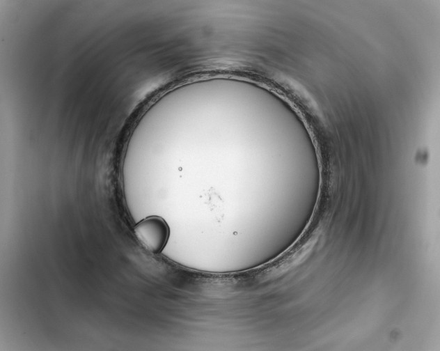 X0000102371210200808151827