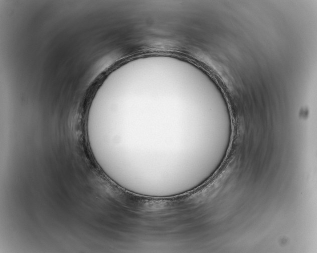 X0000102371211200808151827