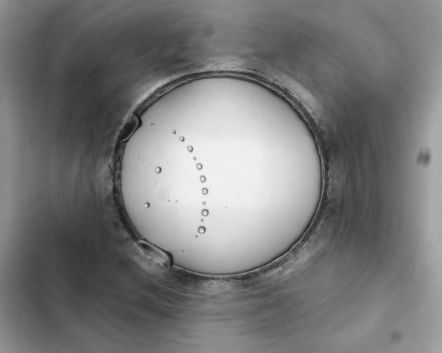 X0000102371212200808151827