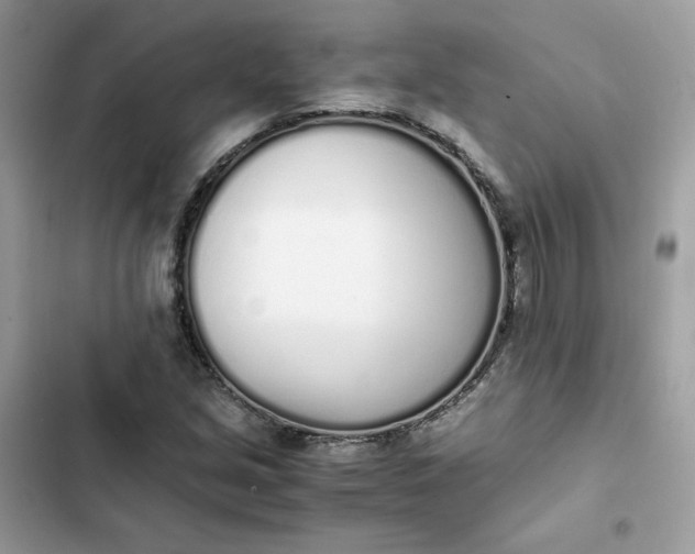 X0000102371213200808151827