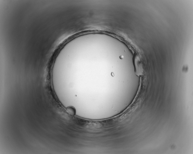 X0000102371215200808151827