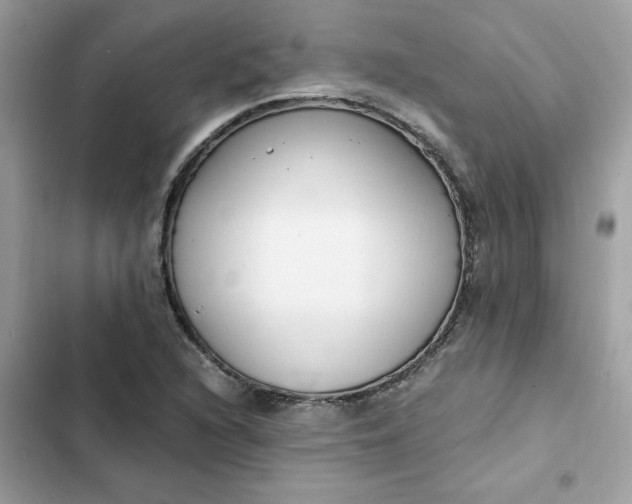 X0000102371216200808151827