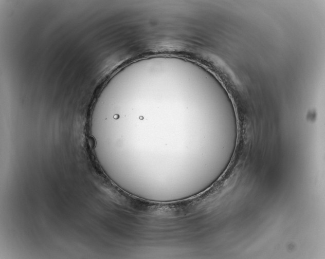 X0000102371217200808151827