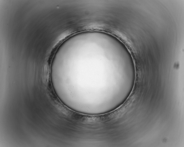 X0000102371219200808151827