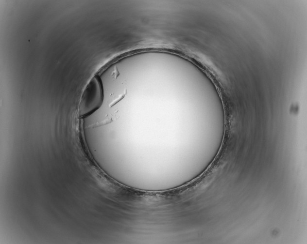 X0000102371220200808151827